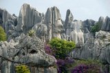 Shilin (The Stone Forest) is an otherworldly fantasy of twisted limestone formations that comprise the world’s largest natural stone maze. Geologists say the structures originated 200 million years ago with the interaction of limestone, sea water, rainwater and seismic upheavals. The bizarre pinnacles that resulted are of the distinctive type of limestone called karst, the same geology that one finds in Guilin.
