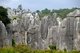 China: Stone Forest (Shilin), Shilin Yi Autonomous County, Yunnan Province